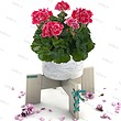 استند گلدان فوفل مدل FB102/015-T-T01 